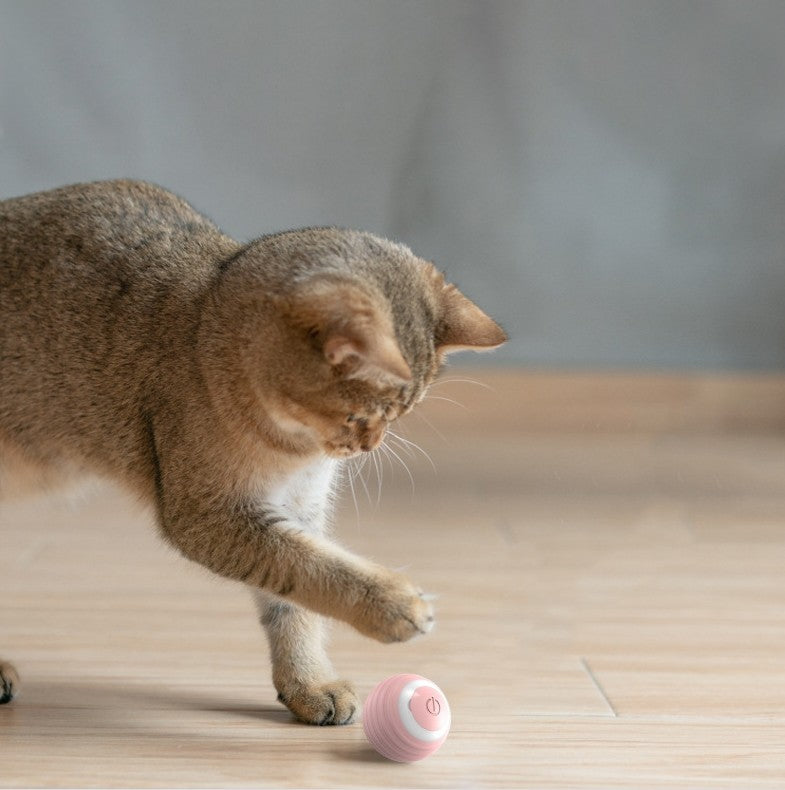 Smart Cat Toy: Self-Moving Kitten Toy For Indoor Cats