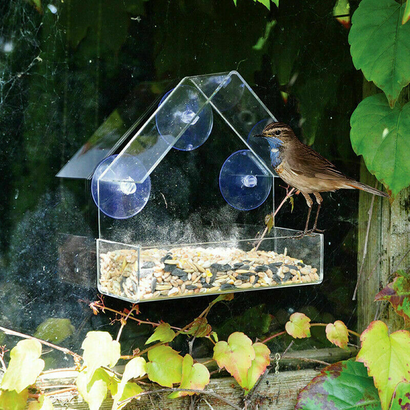 Garden Vista Bird Feeder